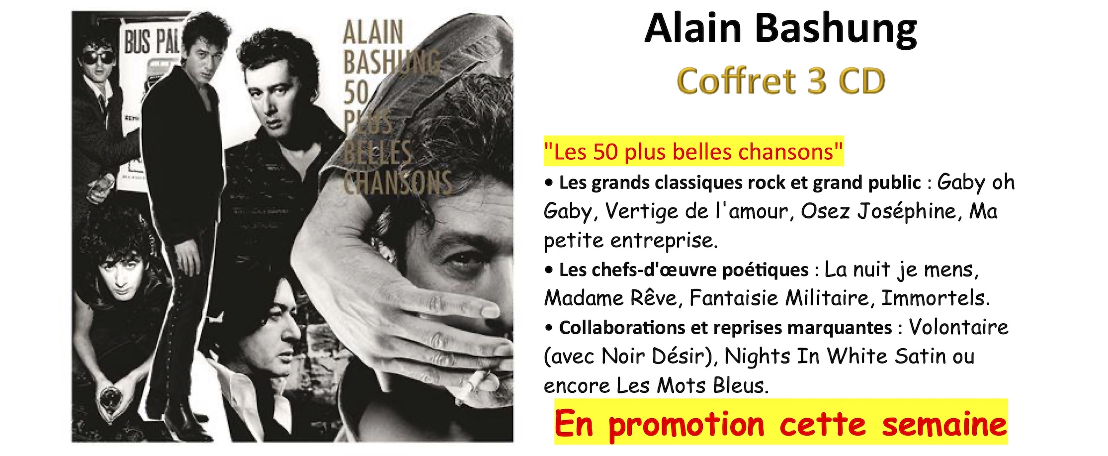 Alain Bashung